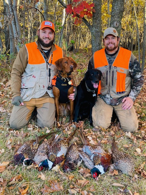 Pheasant hunting MN at our hunting farm shooting preserve.